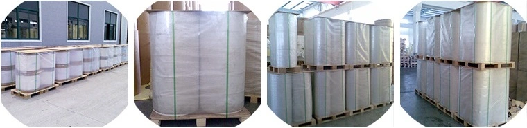 Self Adhesive PE PP Film Sticker Label in Rolls and in Sheets